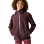 Veste softshell enfant Regatta Haydenbury Fig