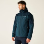 Veste homme Regatta Wentwood