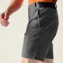 Shorts homme Dare 2b Torrek II Short
