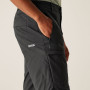 Shorts homme Regatta Highton Shorts Long II
