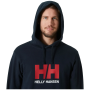 Sweat-shirt homme Helly Hansen Hh Logo Hoodie 2.0