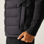 Gilet homme Regatta Aldthorn B/W
