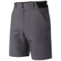 Shorts homme Dare 2b Torrek II Short