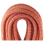 Corde d'escalade Edelrid Boa Gym 9,8 mm 50 m