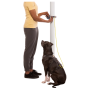 Laisse pour chien Ruffwear Hitch Hiker™ Leash