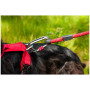 Laisse pour chien Mountain Paws Rope Dog Lead