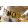 Collier pour chien Ruffwear Hi & Light™ Collar
