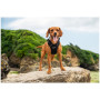 Harnais pour chien Mountain Paws Dog Harness
