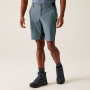 Shorts homme Regatta Eldes Shorts