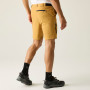 Shorts homme Regatta Anti-Insect Travel Light Shorts