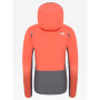 Veste femme The North Face Apex Flex GTX 2.0