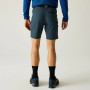 Shorts homme Regatta Xert Stretch Shorts
