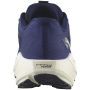 Chaussures de running hommes Salomon Aero Blaze 3 Grvl
