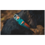 Collier pour chien Ruffwear Front Range™ Collar
