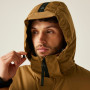 Veste homme Regatta Marron