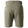 Shorts homme Dare 2b Torrek II Short