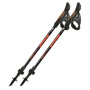 Bâtons de marche nordique Fizan R-Evolution Pro