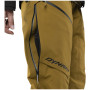 Pantalon d'hiver femme Dynafit Ridge Gtx Pnt W