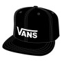 Casquette Vans CLASSIC VANS SB-B vert Black