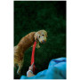 Laisse pour chien Nite Ize LED NiteDog