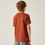 T-shirt enfant Dare 2b Trailbazer III Tee Arabian Spice
