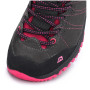 Chaussures Alpine Pro Triglav PTX Low