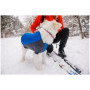 Vêtement pour chien Ruffwear Powder Hound Jacket
