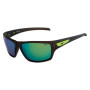 Lunettes polarisantes 3F Cover