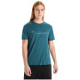 T-shirt fonctionnel homme Icebreaker Men Tech Lite II SS Tee Cadence Paths