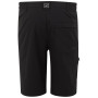 Shorts homme Regatta Highton Shorts Long II