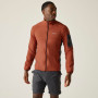 Sweat-shirt homme Regatta Baslinn