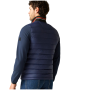 Veste hybride pour homme Regatta Brentmoor Hybrid