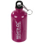 Bouteille d'eau Regatta 0,5L Steel Bottle violet Azalia