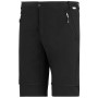 Pantalon homme Regatta Mountain Z/O Trousers