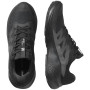 Chaussures homme Salomon Alphaglide Gore-Tex