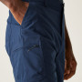 Shorts homme Regatta Dalry Short