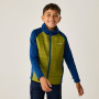 Veste enfant Regatta Boys Trekktain 3-in-1 II AvBlu/GldCyp
