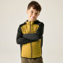 Veste enfant Regatta Junior Andreson Hybrid BlkWdBrown