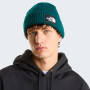 Bonnet The North Face Salty Lined Beanie