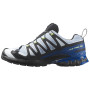 Chaussures de running hommes Salomon Xa Pro 3D V9 GTX Icon