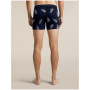 Caleçons fonctionnels homme Icebreaker Men M 150 Anatomica Boxers BearTourAOP