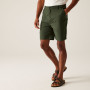 Shorts homme Regatta Dalry Short