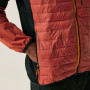Veste homme Regatta Pro Hybrid