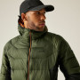 Veste homme Regatta Hooded Dalent