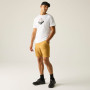T-shirt homme Regatta Fingal Graphic T-Shirt