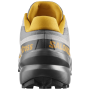 Chaussures homme Salomon Speedcross 6 20 Years