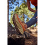 Chaussures de running femme New Balance Fresh Foam X More Trail v3