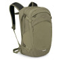 Couleur: olive