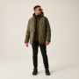 Veste homme Regatta Dallymoore