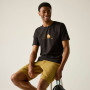 Shorts homme Regatta Ruwan Shorts